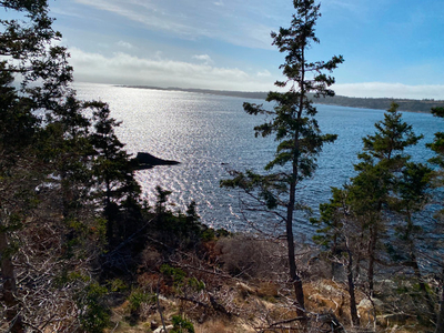 Oceanfront Property Nova Scotia