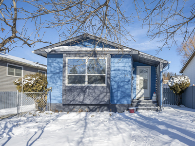 Calgary House For Rent | Falconridge | Amazing Renovated Bungalow in the