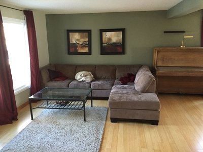 Calgary Pet Friendly House For Rent | Edgemont | Open house Sunday Jan28 2024