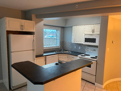 Central Garneau Two Bedroom Two Bathroom for Rent