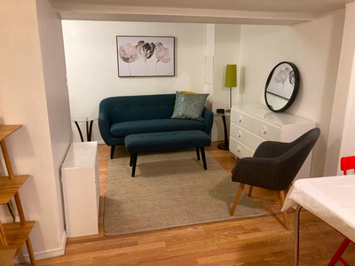 One-Bedroom Furnished Downtown Semi-Private Suite to April 30