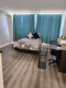 Short Term Renovated Furnished Units Available-London ON