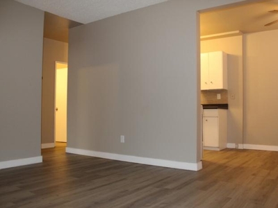 1 Bedroom Apartment Unit Edmonton AB For Rent At 989