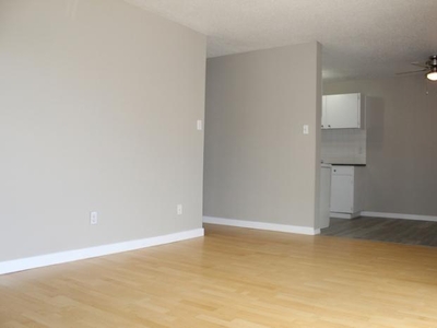 2 Bedroom Apartment Unit Edmonton AB For Rent At 1250