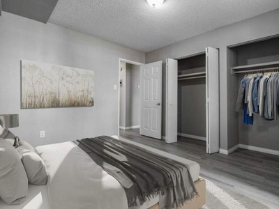 Apartment Unit Edmonton AB For Rent At 764