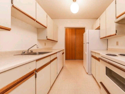 1 bedroom available in 2 bedroom apartment