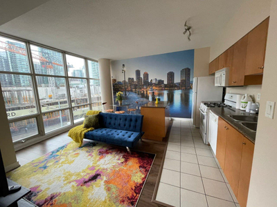 1 Bedroom Downtown Loft Condo in the Entertainment District