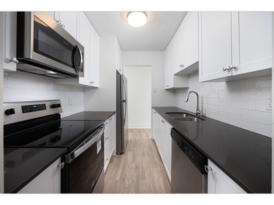 274-278 Cedar Avenue - 1 Bedroom Apartment for Rent
