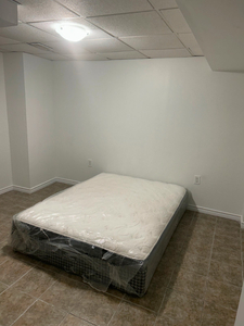 Basement Apartment Available Students Only