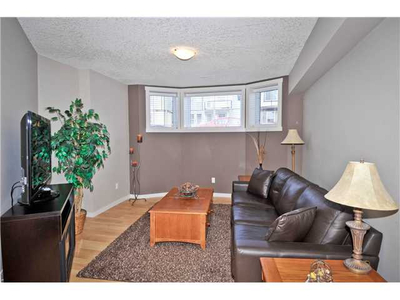 Beautiful Basement Suite in Airdrie