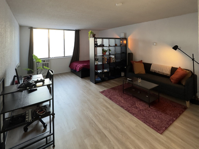 Bright 17th Floor Studio Apartment 10 minutes from Downtown!