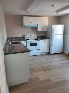 Charming Newly Renovated 2 Bedroom on London St Available Now