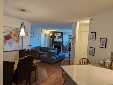 Edmonton Pet Friendly Condo Unit For Rent | Rossdale | Beautiful 2 bedroom (unfurnished) incl