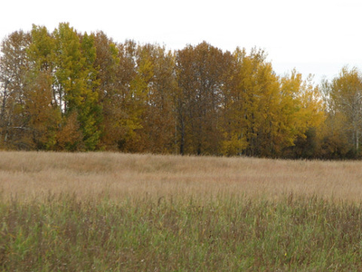 Five Acre Lots for Sale, Athabasca