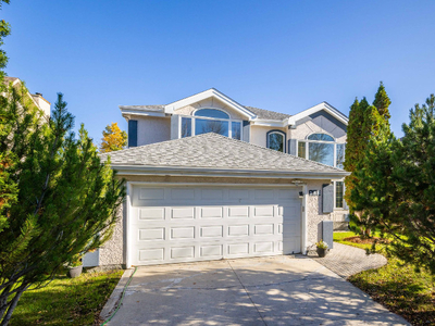 Forest-Backing Family Home in Southdale