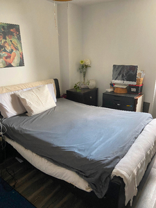 REDUCED furnished Master bedroom near sq1- April 01- $1120