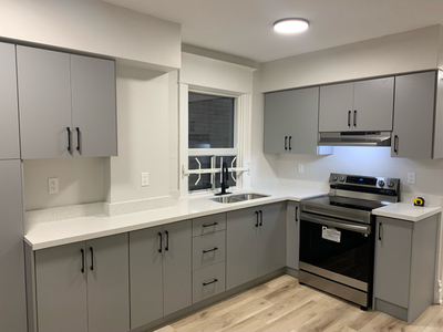 Newly Renovated 2 bed 1 bath Hamilton Suite