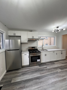 Newly Renovated 2 Bedroom 2 level Apartment in Strathroy