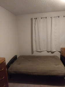 ROOMIE NEEDED FOR MARCH 1ST (or sooner) for Edmonton NW
