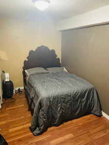 single basement bedroom for a girl available from March 1 .