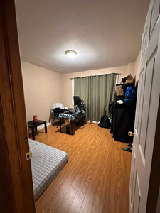 1 spacious single room available