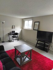 Calgary Basement For Rent | Shaganappi | Cozy 2 bedroom Walkout Basement