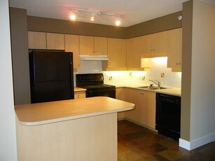 Calgary Pet Friendly Apartment For Rent | Downtown | Spacious 2 Bedroom Corner Unit