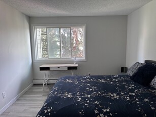 Calgary Pet Friendly Room For Rent For Rent | Glamorgan | Room for Rent in Glamorgan