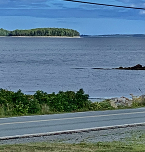 Land for sale (12 acres) with ocean view in Gold River, NS