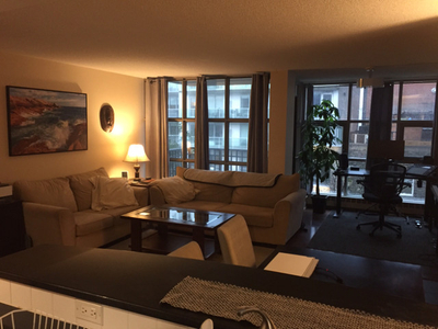 1 BDRM apt on waterfront Fully furnished Feb1 (3 months)