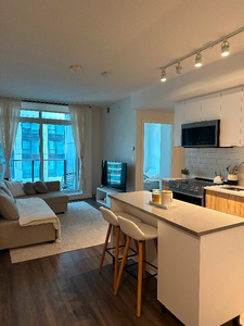 1 bed 1 bath lease takeover (Feb-August)
