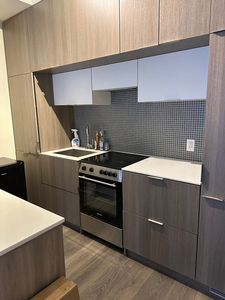 1 Bed + 1 Separate bath (Fully Furnished)- Central DT Toronto