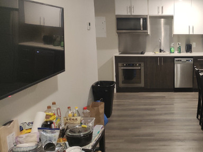1 bedroom for rent in the summer near Uottawa
