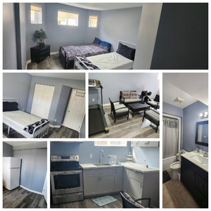 1 fully furnished bedroom available in basement