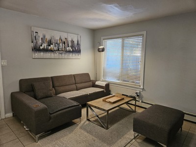 1BR available in 2BR Ground Level Basement (LGBT friendly)