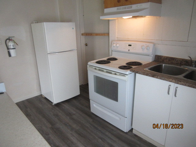 46 NIAGARA FALLS 1 BEDROOM APT READY AND CAN SHOW ANYTIME