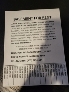 Basement for Rent