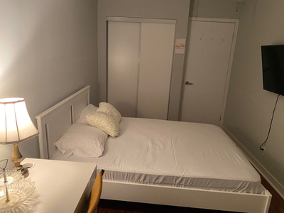 Downtown Toronto One bed room in share apartment