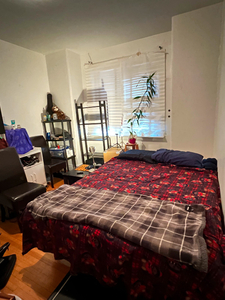 February to April Sublet Toronto Dundas Bathurst Downtown area