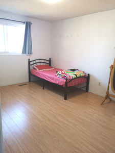 FEMALE-Private Furnished Upper Room in Scarborough