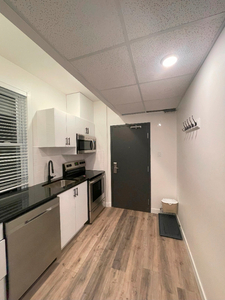 Furnished one-bedroom apartment Near Ottawa University Sandyhill