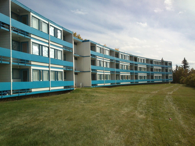 Renovated 1BR suite near FOOTHILLS Hospital, U of Calgary & SAIT