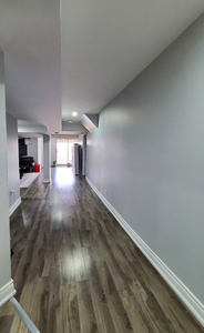 Spacious and well-lit walkout basement available on rent