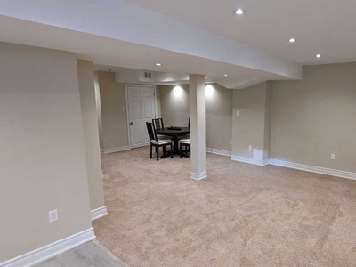 Spacious Brand New Basement With a Den