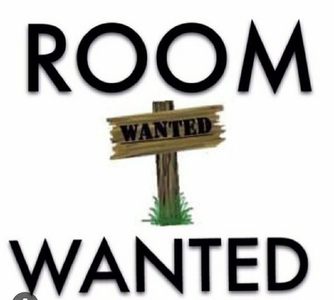 Wanted basement for rent