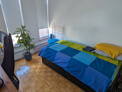 1 Bedroom for sublet, right beside U of T St. George campus