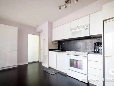 Downtown Core Private Room with Private Washroom for Rent