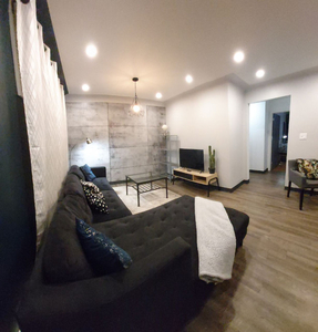 Fully Furnished 1 Bedroom Apt -- Laundry + WiFi + Parking