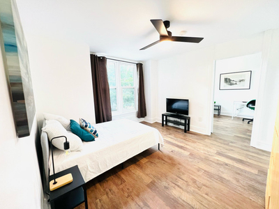 Large, New Reno’d Priv Furnished Suite UTLTS incl-Apr/May 1