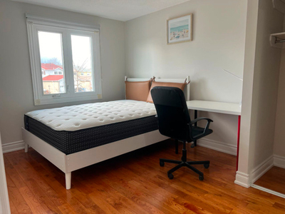 Single room with individual bathroom in Scarborough